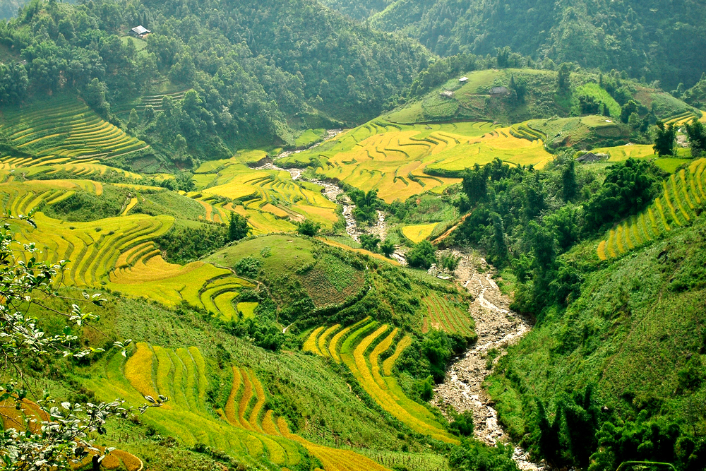Best time to travel Vietnam Sapa vietnam