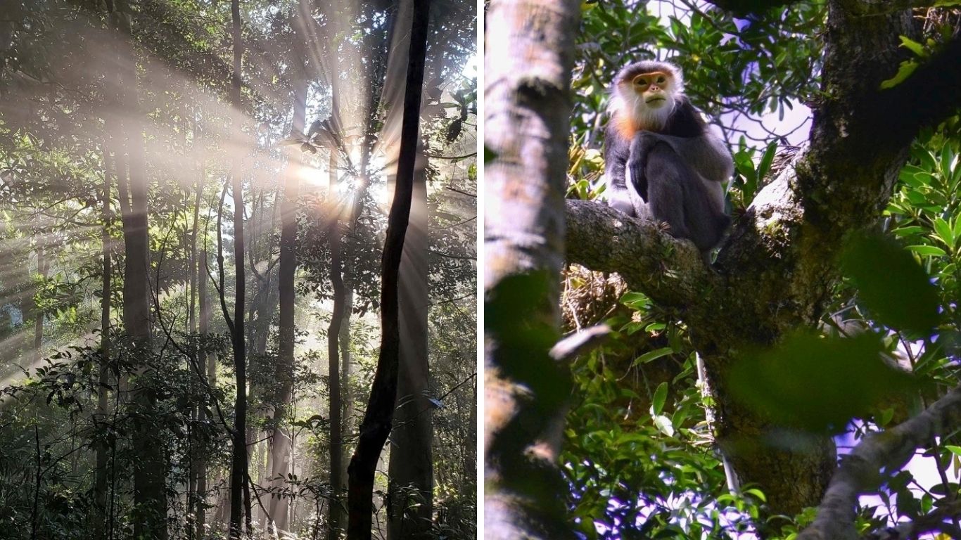 Kon Chu Rang Nature Reserve ecological tour