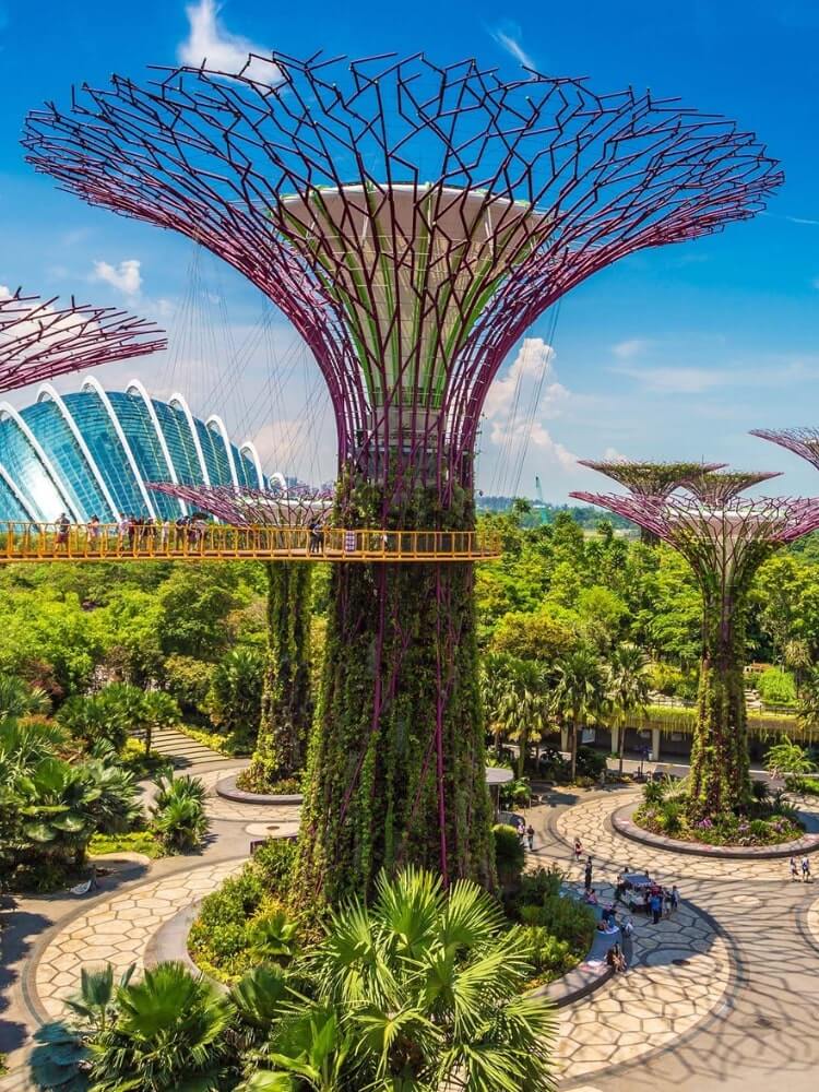 Travel to Singapore Supertree Grove