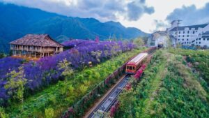 Enjoy the journey on the train to Sapa