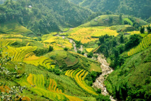 Best time to travel Vietnam Sapa vietnam