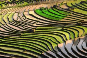 Vietnam travel in Spring