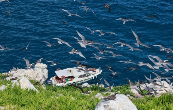 Con Dao island national park